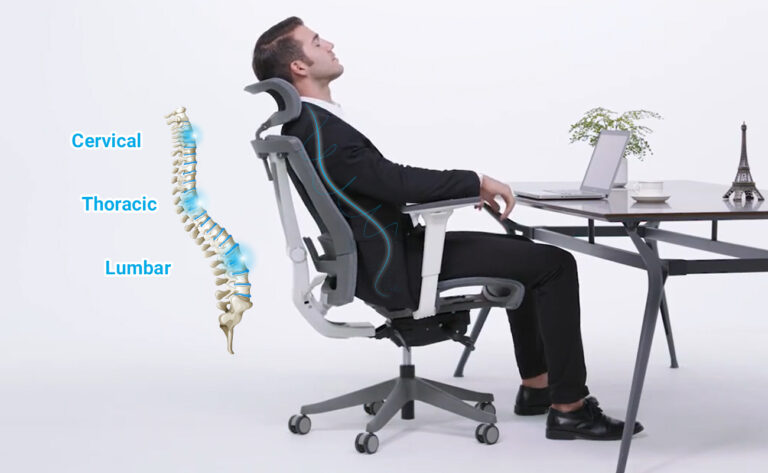 The Ultimate Guide to Ergonomic Office Chairs by Next Chair Singapore