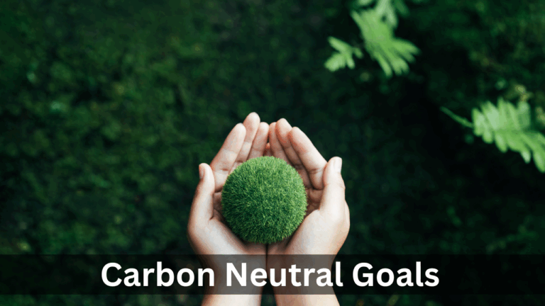 Carbon Neutral Goals: Indian Companies That Are Making India Greener