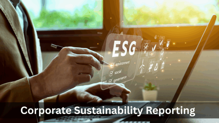 Corporate Sustainability Reporting