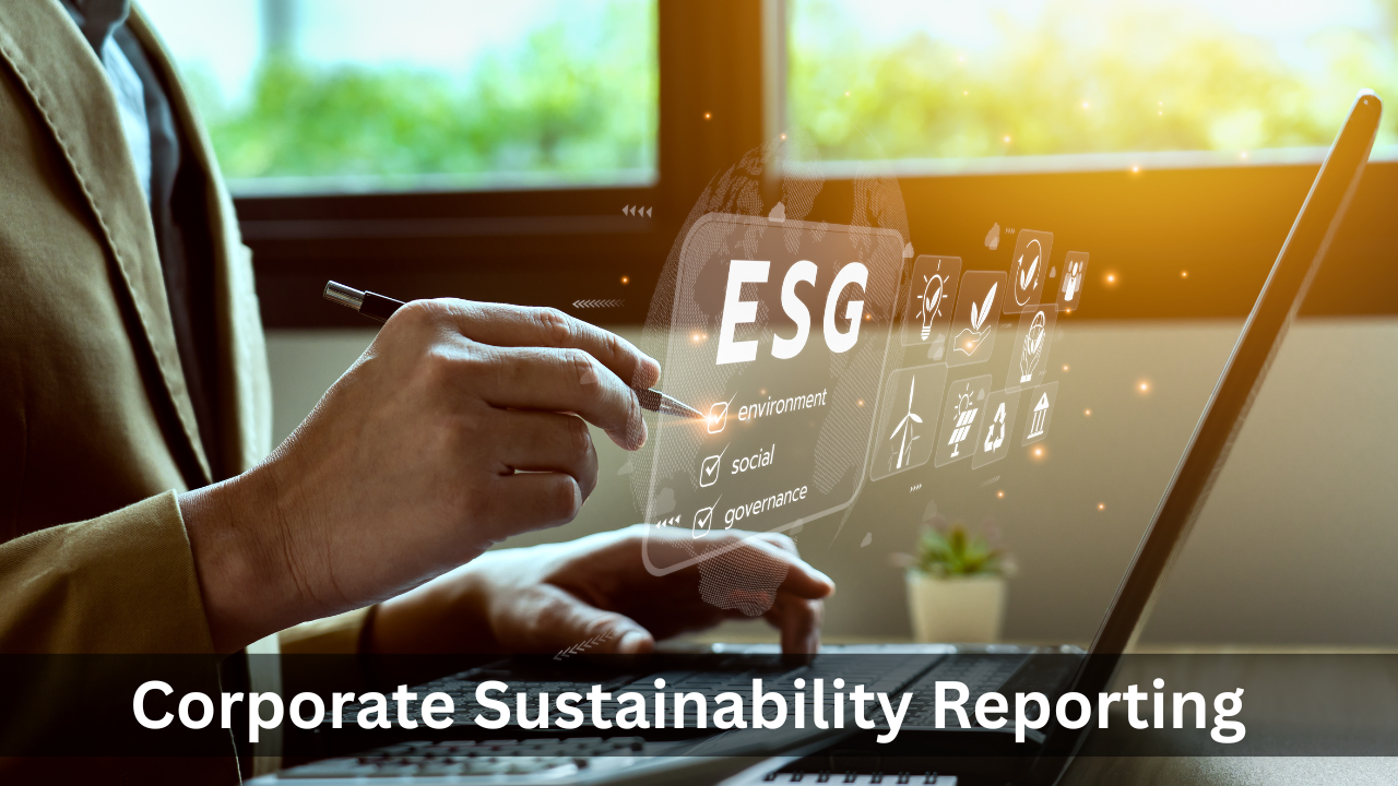 Corporate Sustainability Reporting