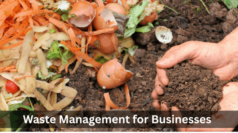 Waste Management for Businesses