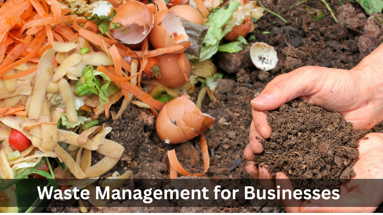 Waste Management for Businesses