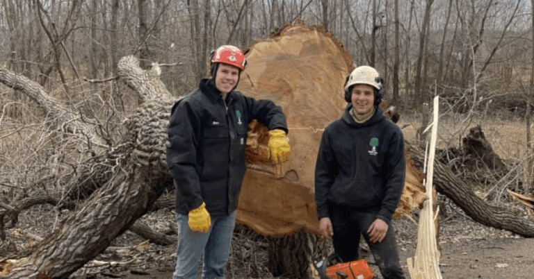 The Essential Role of Lot Clearing Services in Land Development and Property Management